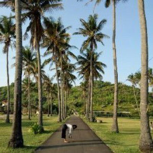 endarini ika profile icon