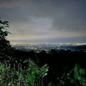 Rinne Tns profile icon