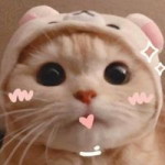 Fyyi profile icon