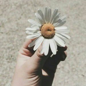 Lita Diah Fitri Lestari profile icon