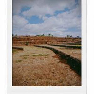 Wastika profile icon