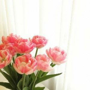 Abdullah's Mom profile icon