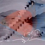 Kate Gonzii profile icon