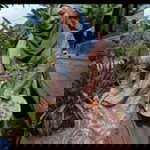 Nor Faizah profile icon