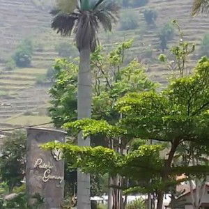 Juni Dwi profile icon