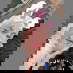 ซารีฮะห์ มิง profile icon