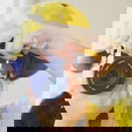 อาเหมยลี่ อินตังโก๊ะ profile icon