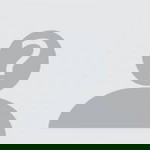 Arfas Putra profile icon