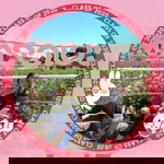 โสรญา นวนเจริญ profile icon