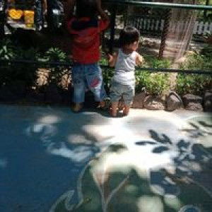 Carien Mahendra profile icon