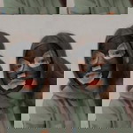 Nutchanat Pantong profile icon