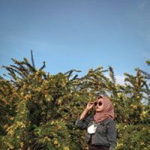 Nilla Santa profile icon