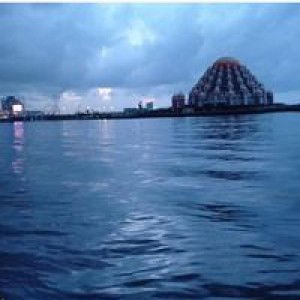 Fatimah Alhabsyi profile icon