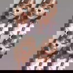 Suphathida Chafa profile icon