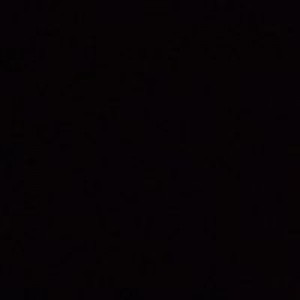 Dolly Kucing profile icon