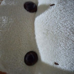 echa Hetharia profile icon