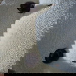 echa Hetharia profile icon