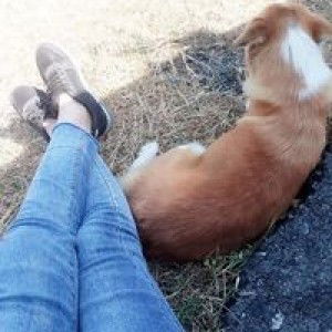 Boon Iun Tejun profile icon