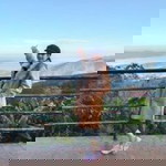 สิ่งมีชีวิต ที่คิดได้และเจ็บเป็น profile icon