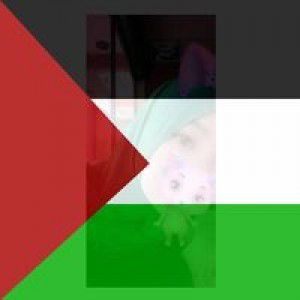 Yonggi Chuu profile icon