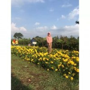 Jannah S N profile icon
