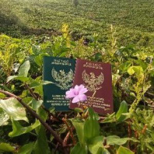 Nabilah Eka Putri profile icon