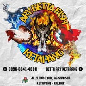 Betta Ary Ketapang profile icon