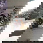 เปรียว 'ว profile icon