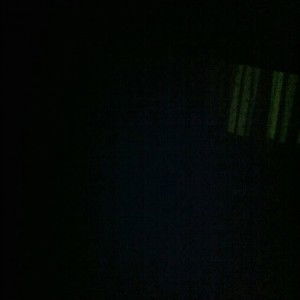 Anisia Rosabel Wu profile icon