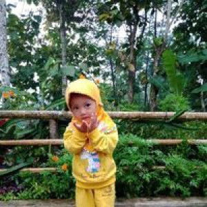 Evhy She Vhya profile icon