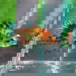 Eykn Channel profile icon