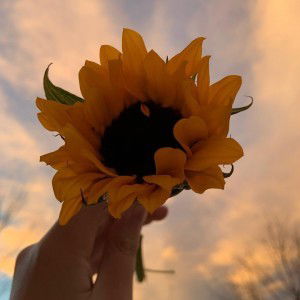 Syaza Suhaimi profile icon