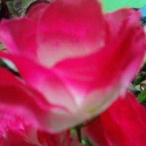 christ agustine profile icon