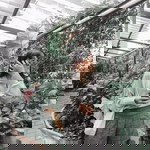 Bubble B profile icon