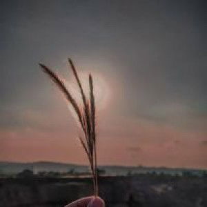 Ddyah Ayuu profile icon