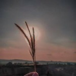 Ddyah Ayuu profile icon