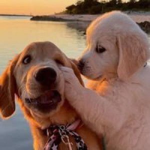 Suminta Nangwong profile icon