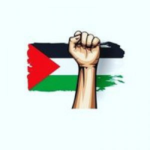 Ana Althofun Nisa profile icon