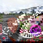 Amor G.Nercua profile icon