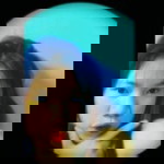 ฝ้าย วิทย์ profile icon