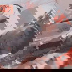 A Lam Bre profile icon