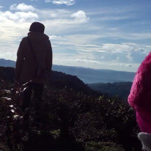 Mega Sri Rahayu profile icon