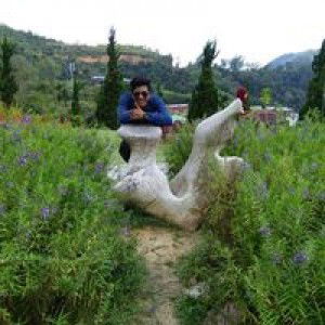 Dawanee Sma profile icon