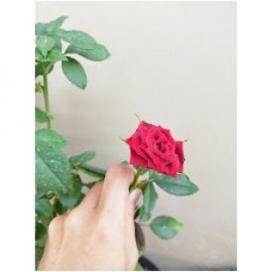 Vivin Novitasari profile icon