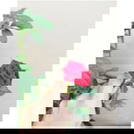 Vivin Novitasari profile icon