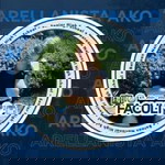 Noleen Orozco profile icon