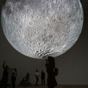 Nelly Yulianita profile icon