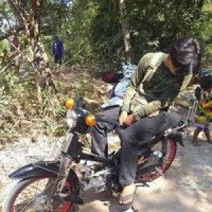 สมอง หมอบ profile icon