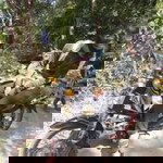 สมอง หมอบ profile icon