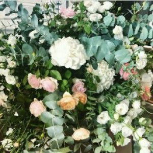 Fairi Amiralti profile icon